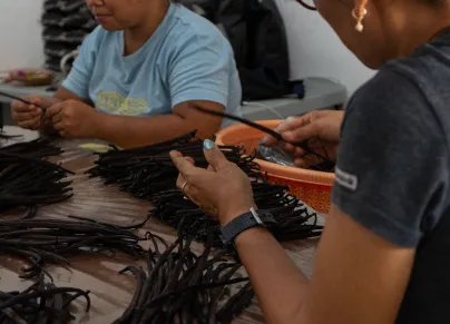 Checking Dry Vanilla 1