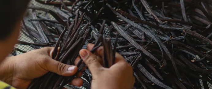 Checking Dry Vanilla 2