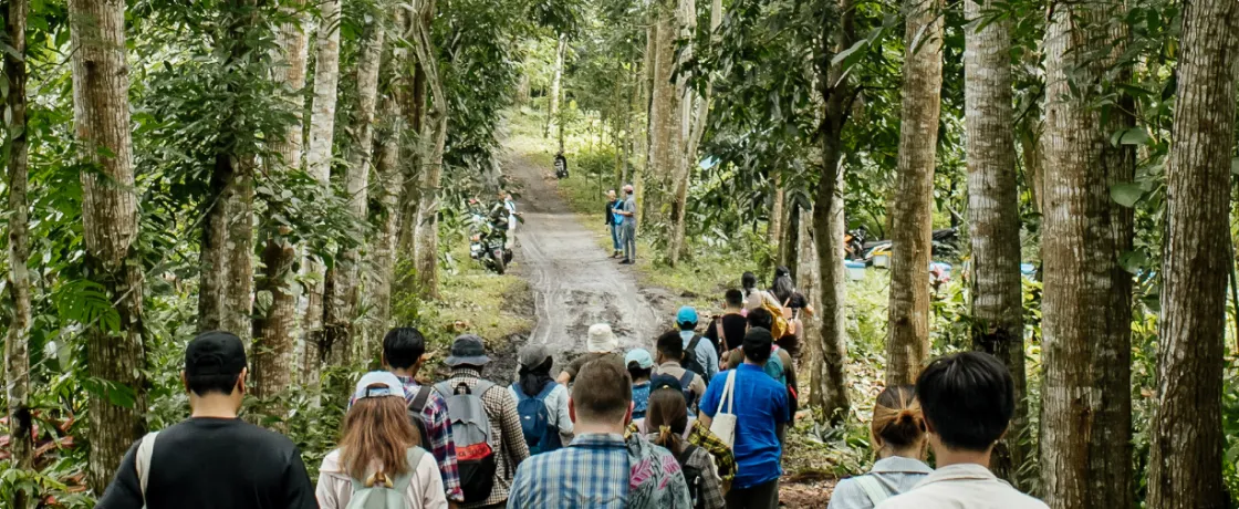 Walking in The Forest